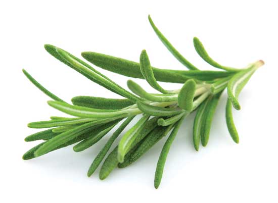 Woody, fragrant rosemary can boost mood and protect the brain.